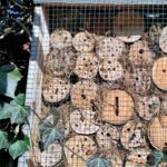 Gewimmel im Insektenhotel