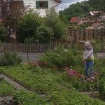 Regina im Garten