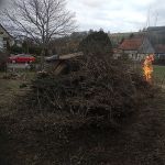 Fackeltag auf dem Nachbargrundstück