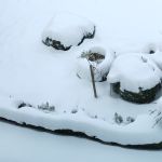 Tiefschnee im Garten