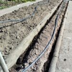 Neuanlage des Schwarzwurzelbeets