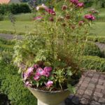Blumen am Eingang