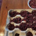 Szechuanpfeffer-Ernte