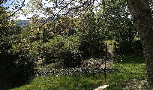 Schaukel im Nussbaum