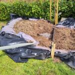 Anlage eines Sumpfbeets