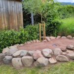 Anlage eines Sumpfbeets