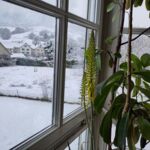 Wintereinbruch Mitte März