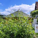 Mülltonnnen-Pavillon (Hahn)