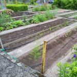 Gartenansicht