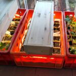 Anzucht von Gartenpflanzen