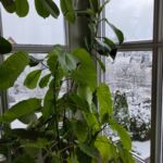 Wintereinbruch Mitte März