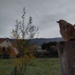 Zaunkönig wird geschnitzt