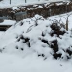 Alles mit Schnee bedeckt