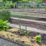 Gartenansicht