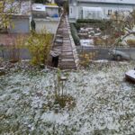 Der erste Schnee