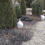 Vereiste Ballons vor dem Haus