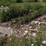 Blumen