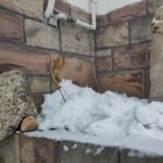 Winterschutz für Marakuja und Granatapfel