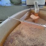 Keltern: Roher Apfelsaft