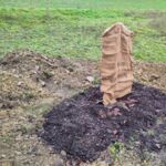 Baumpflanzung in Oberwaldbehrungen