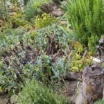 Solarbetriebene Uhr im mediterranen Garten