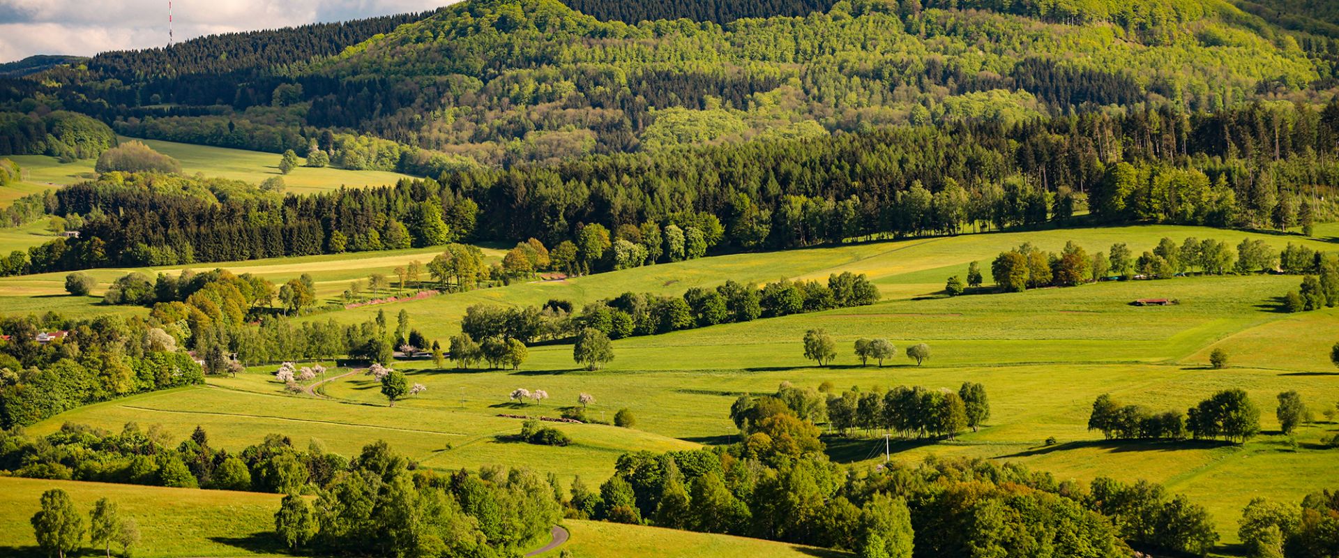 Gersfelder Kessel im Frühling 