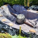 Anlage eines Sumpfbeets