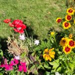 Blumen