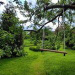 Neues Sportgerät im Park