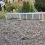 Opuntien auf dem Carport: Regenschutz