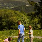 Kinder auf der Wiese