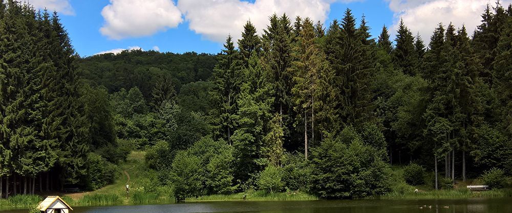 Rothsee 