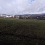 Rhönlandschaft