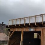 Opuntien auf dem Carport: Regenschutz